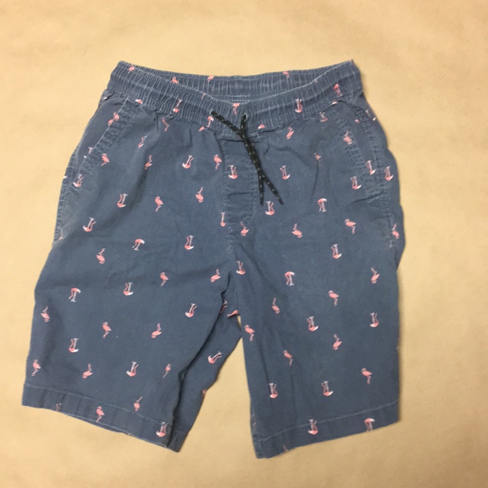Men’s Flamingo Shorts